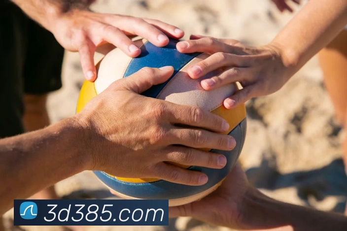 必一运动b官网服务体系